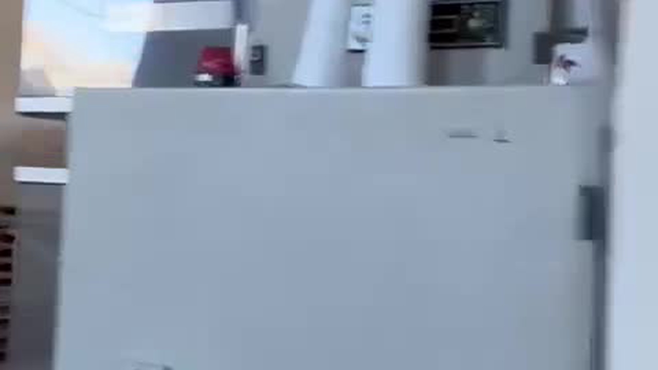 خط تولید تمام اتوماتیک ماکارونی E55  