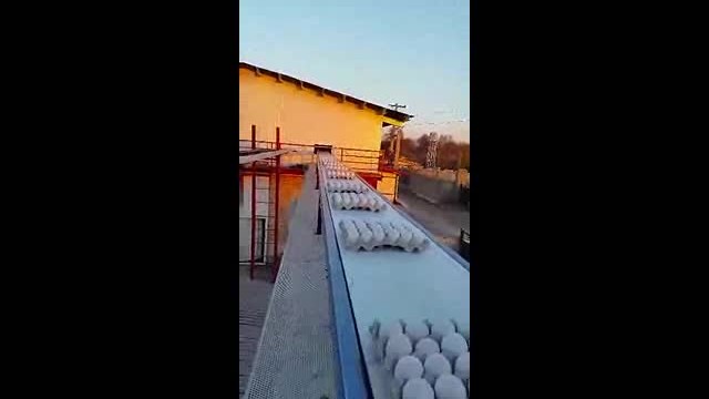 کانوایر تسمه ای هوایی انتقال شانه ی تخم مرغ